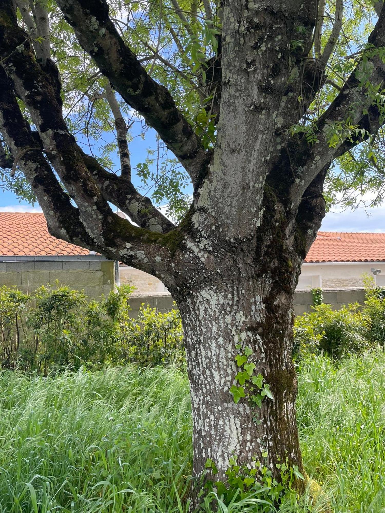 Vila Maison Face A La Mer 6 Personnes Saint-Georges-d'Oleron Exteriér fotografie